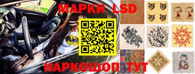 прущие грибы Пушкино