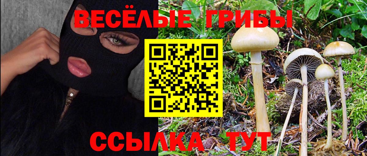 Псилоцибиновые грибы Magic Shrooms Серпухов