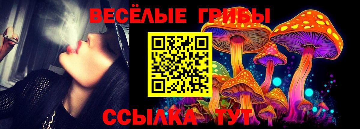 Серпухов  Псилоцибиновые грибы Psilocybine cubensis  Вход с VPN 